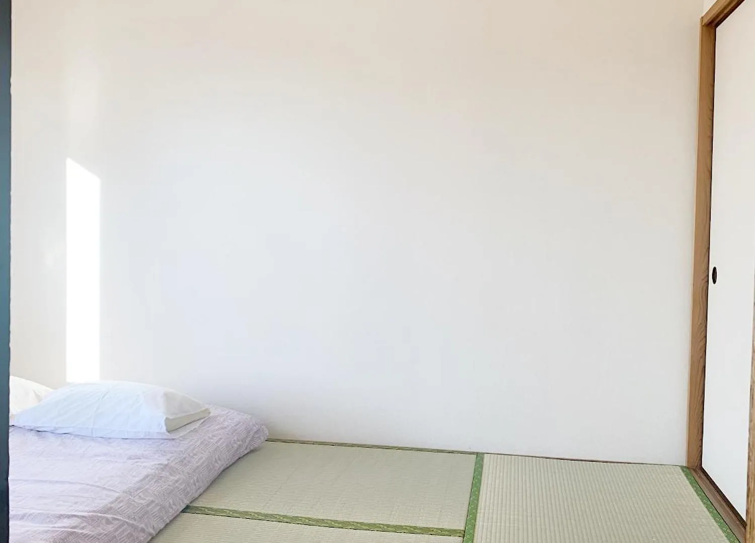 Apartment 精品新装修60平米2卧室阳光公寓#干湿分离#高速无限制网路#专用电梯直达#3站直达新宿#最大7人#Itk501 Tokyo